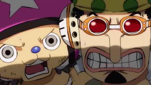 One Piece Episode 991