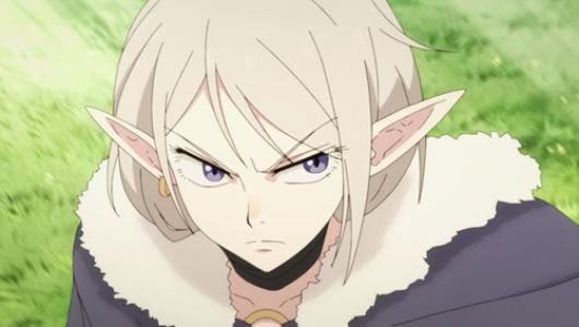 Boukensha ni Naritai to Miyako ni Deteitta Musume ga S-Rank Episode 8