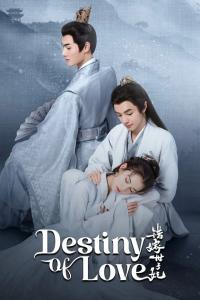 Destiny of Love Episode 24 END
