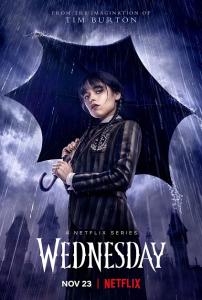 Wednesday Season 1 Episode 8 END