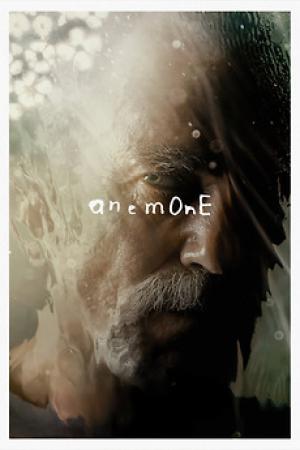 Anemone (2025) Anemone (2025)